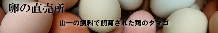 畜産・家禽・鳩用飼料 -本物志向の安全な飼料